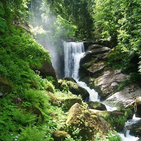 Rita - Atemberaubenden Wasserfaelle Triberg im Schwarzwald Exteriér fotografie