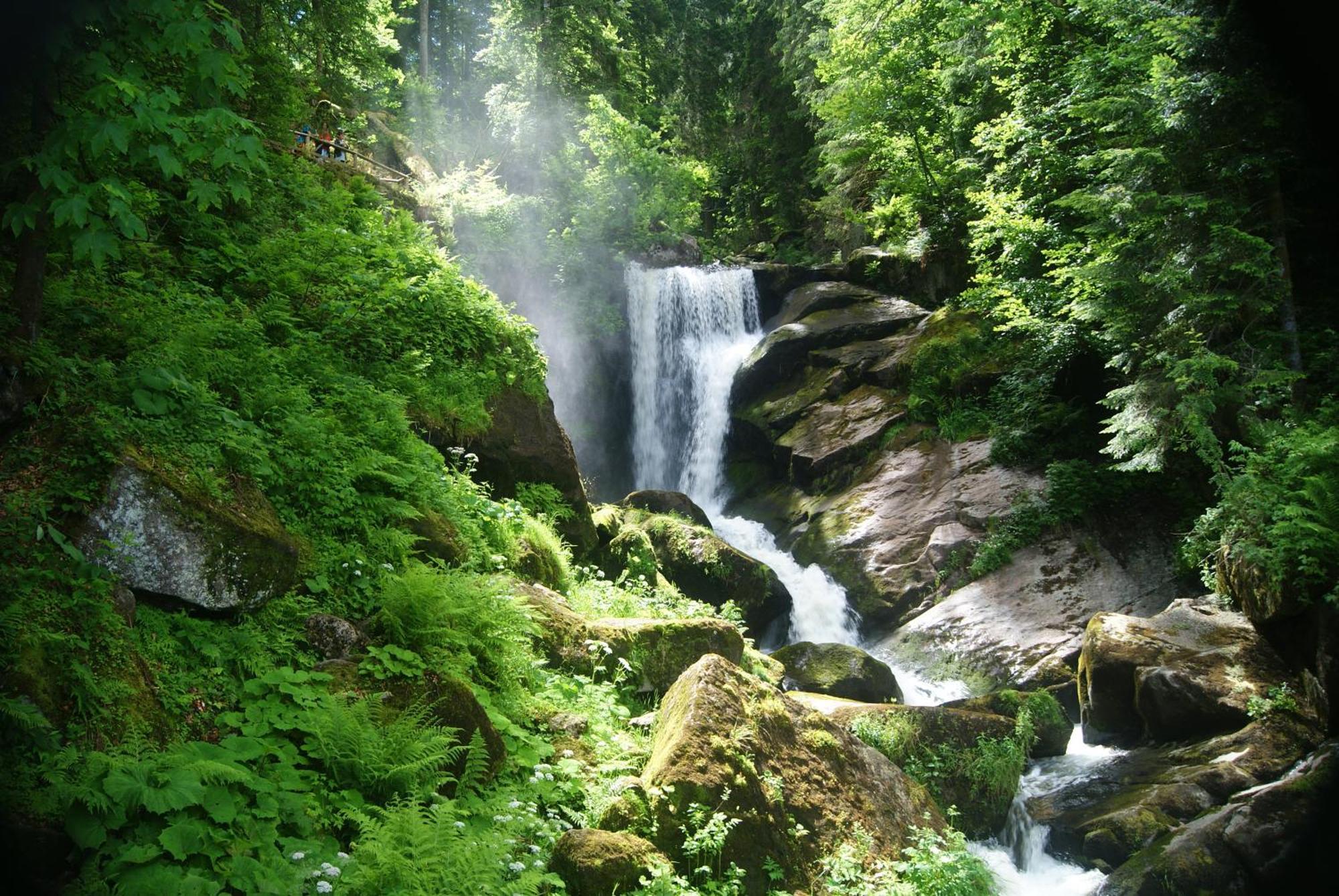 Rita - Atemberaubenden Wasserfaelle Triberg im Schwarzwald Exteriér fotografie